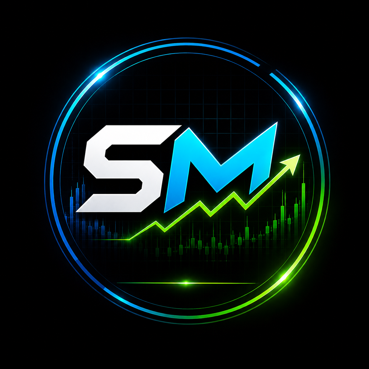 StructMetric Logo